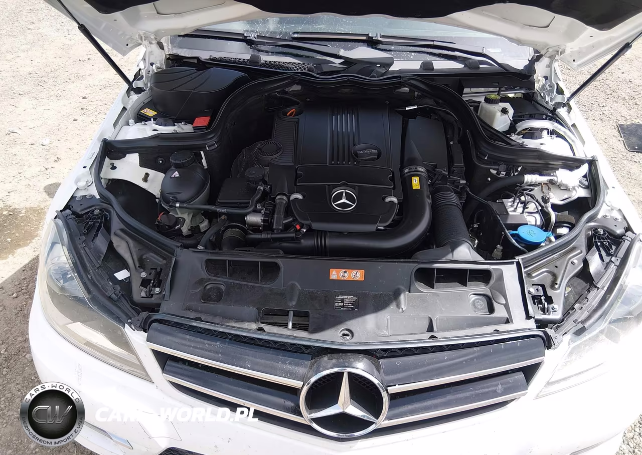 2013 Mercedes-Benz C 250 VIN:WDDGJ4HB5DG090841 - 10