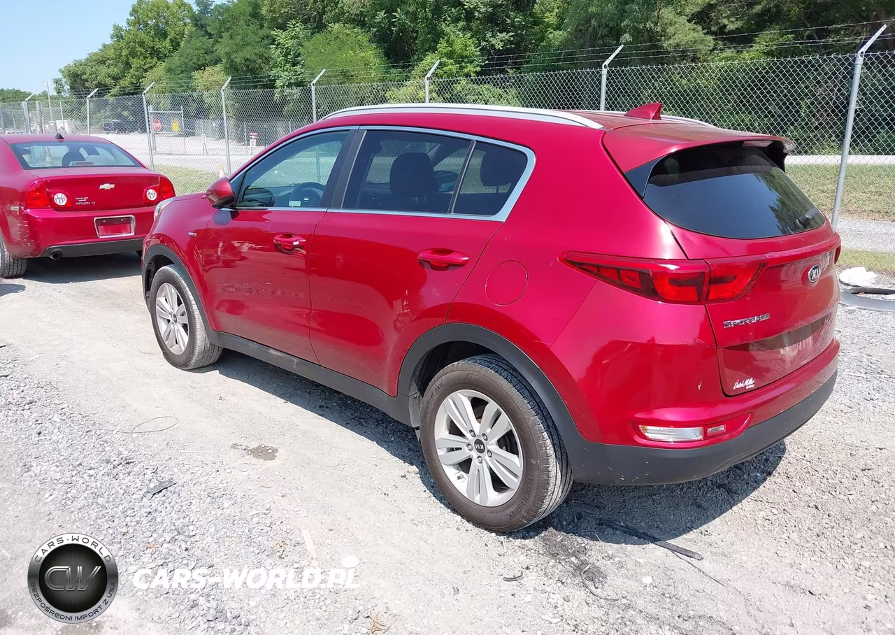2019 Kia Sportage Lx VIN:KNDPMCAC2K7606777 - 3