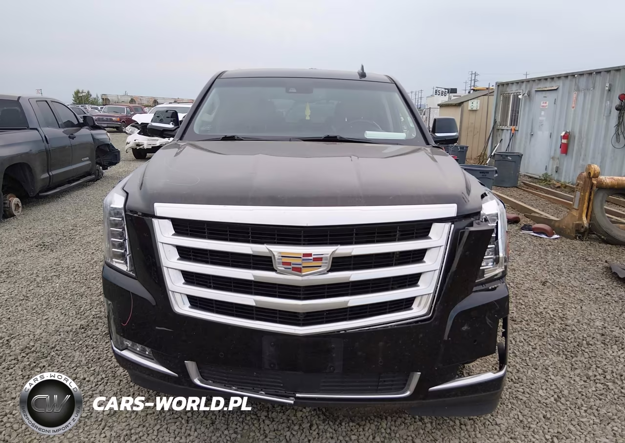 2015 Cadillac Escalade Premium VIN:1GYS4NKJ0FR542794 - 12