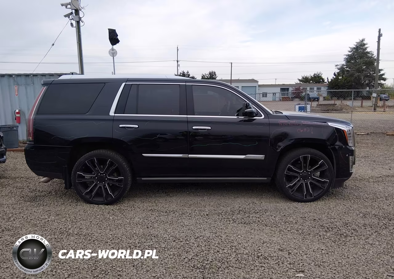 2015 Cadillac Escalade Premium VIN:1GYS4NKJ0FR542794 - 13
