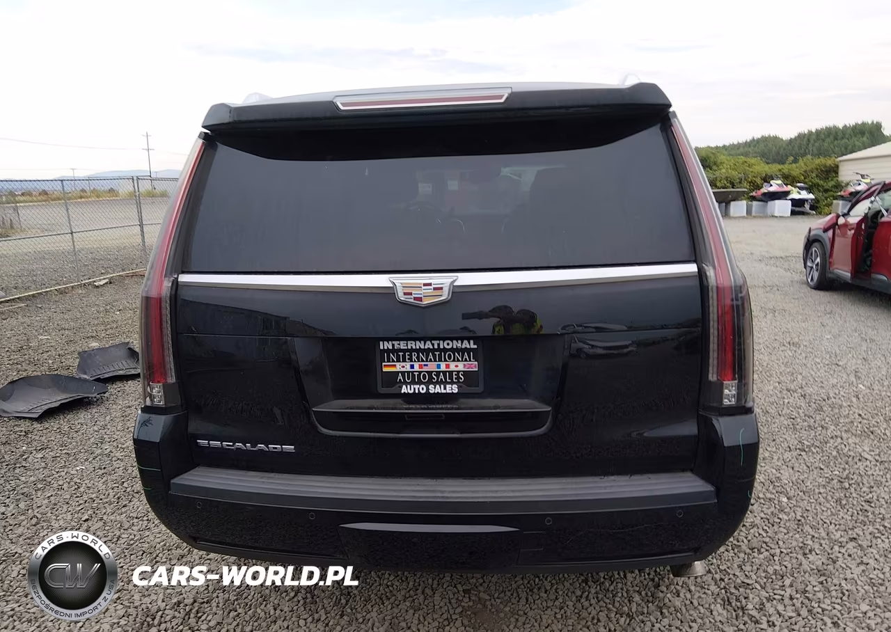 2015 Cadillac Escalade Premium VIN:1GYS4NKJ0FR542794 - 16