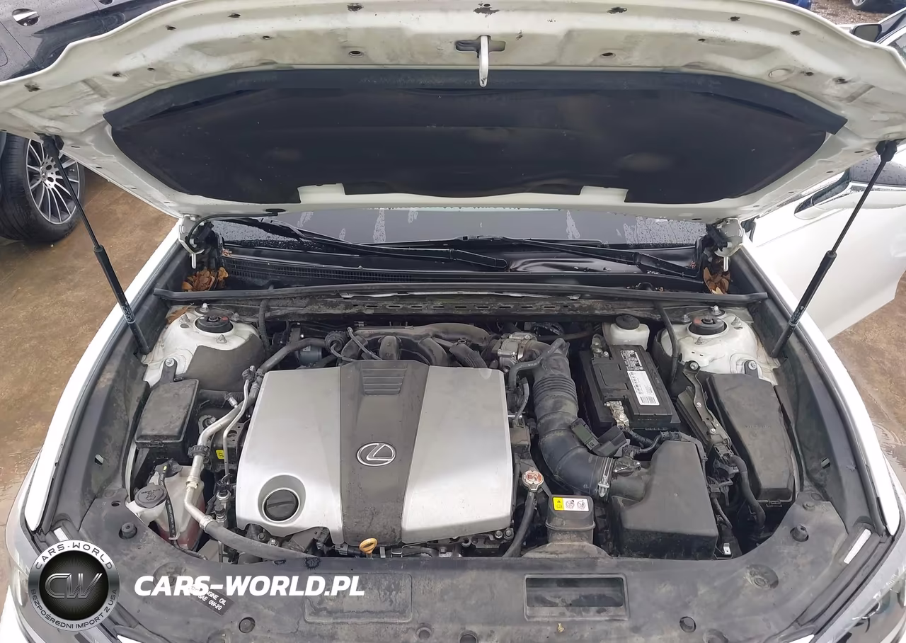2022 Lexus Es 350 VIN:58ADZ1B1XNU127037 - 10
