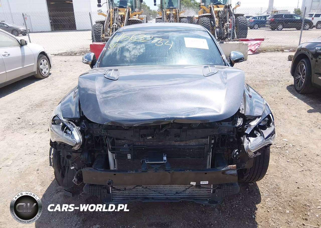 2019 Kia Stinger Gt1 VIN:KNAE45LC6K6065719 - 13