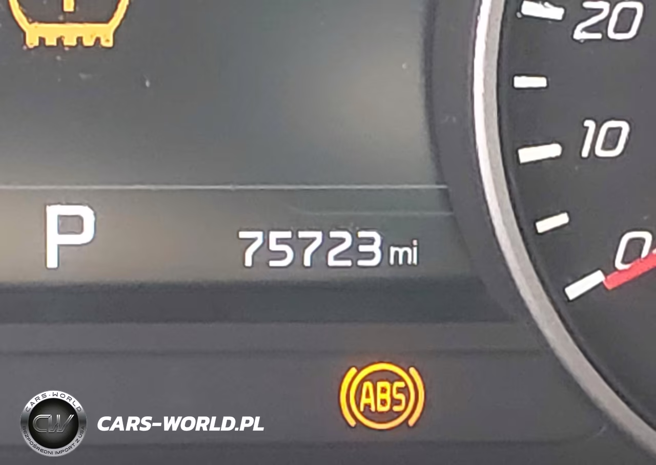 2019 Kia Stinger Gt1 VIN:KNAE45LC6K6065719 - 16