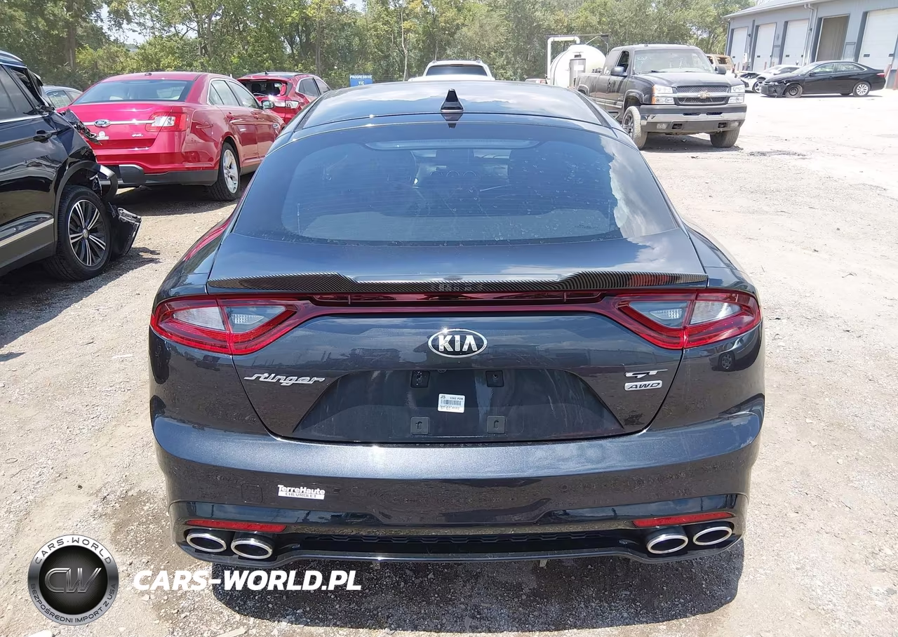 2019 Kia Stinger Gt1 VIN:KNAE45LC6K6065719 - 17
