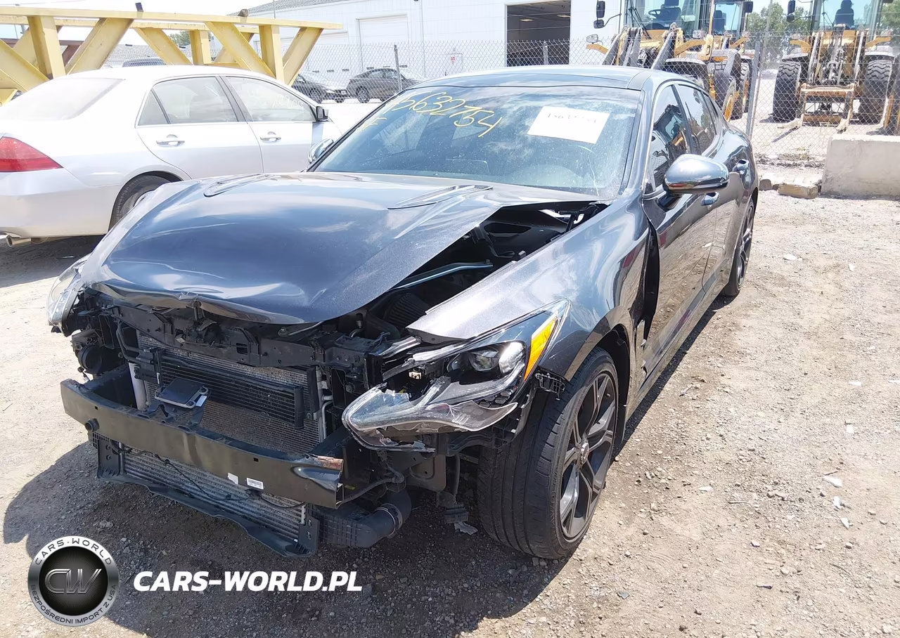 2019 Kia Stinger Gt1 VIN:KNAE45LC6K6065719 - 2