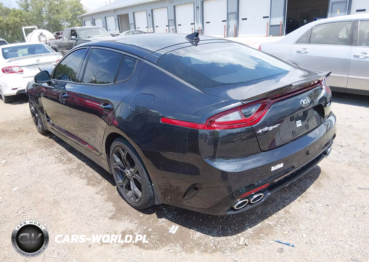 2019 Kia Stinger Gt1 VIN:KNAE45LC6K6065719 - 3