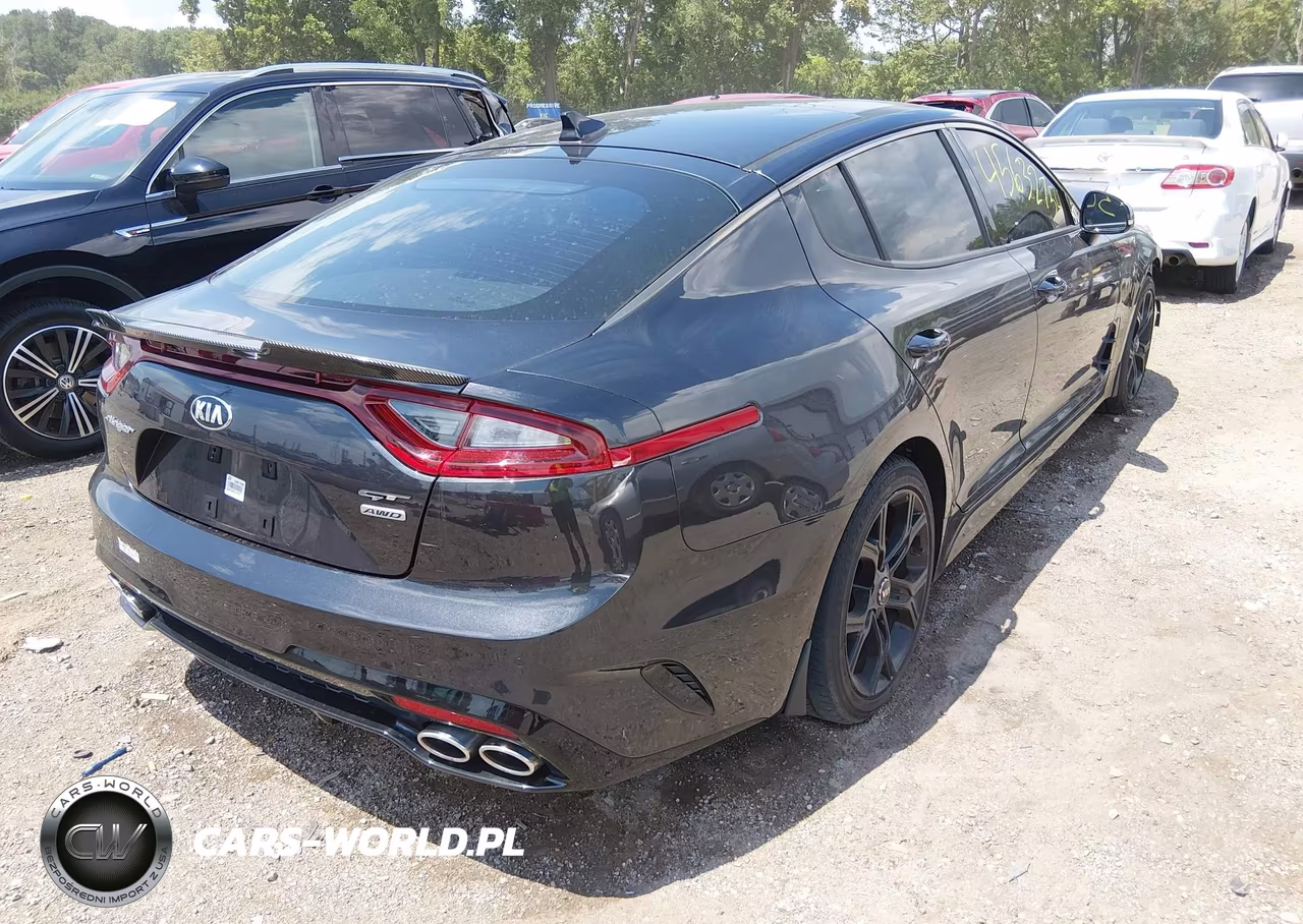 2019 Kia Stinger Gt1 VIN:KNAE45LC6K6065719 - 4