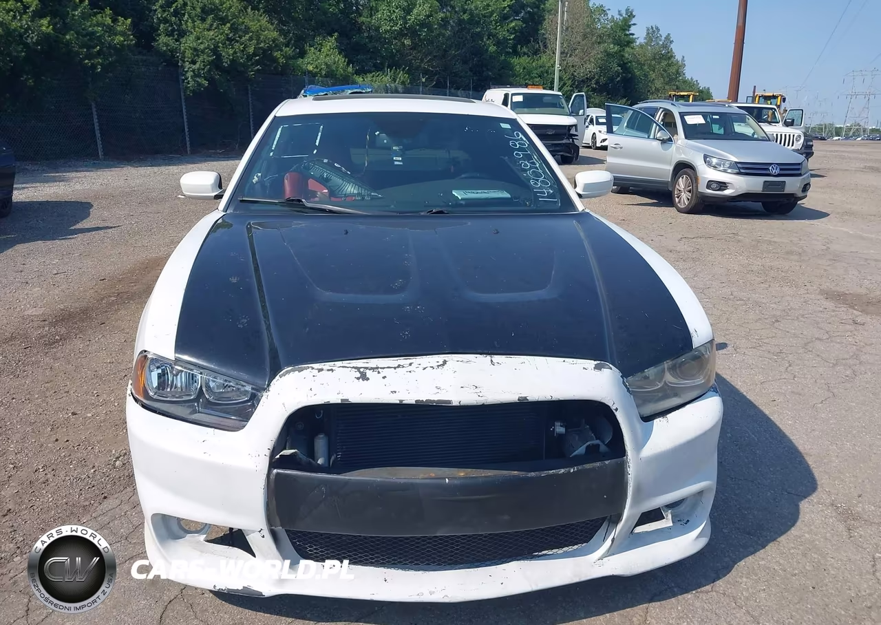 2013 Dodge Charger R-T Max VIN:2C3CDXCT2DH531755 - 10