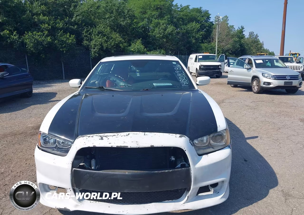 2013 Dodge Charger R-T Max VIN:2C3CDXCT2DH531755 - 12