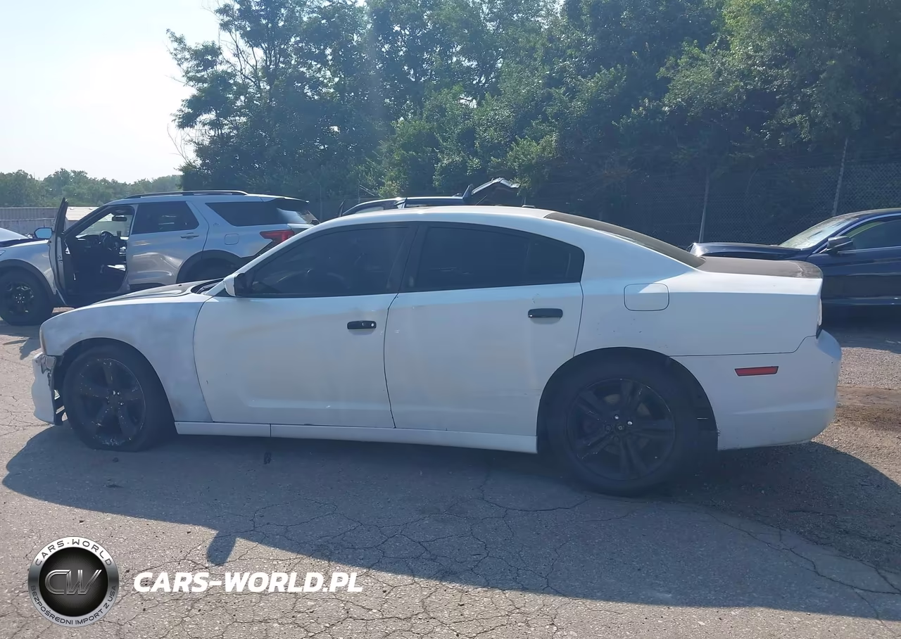 2013 Dodge Charger R-T Max VIN:2C3CDXCT2DH531755 - 14