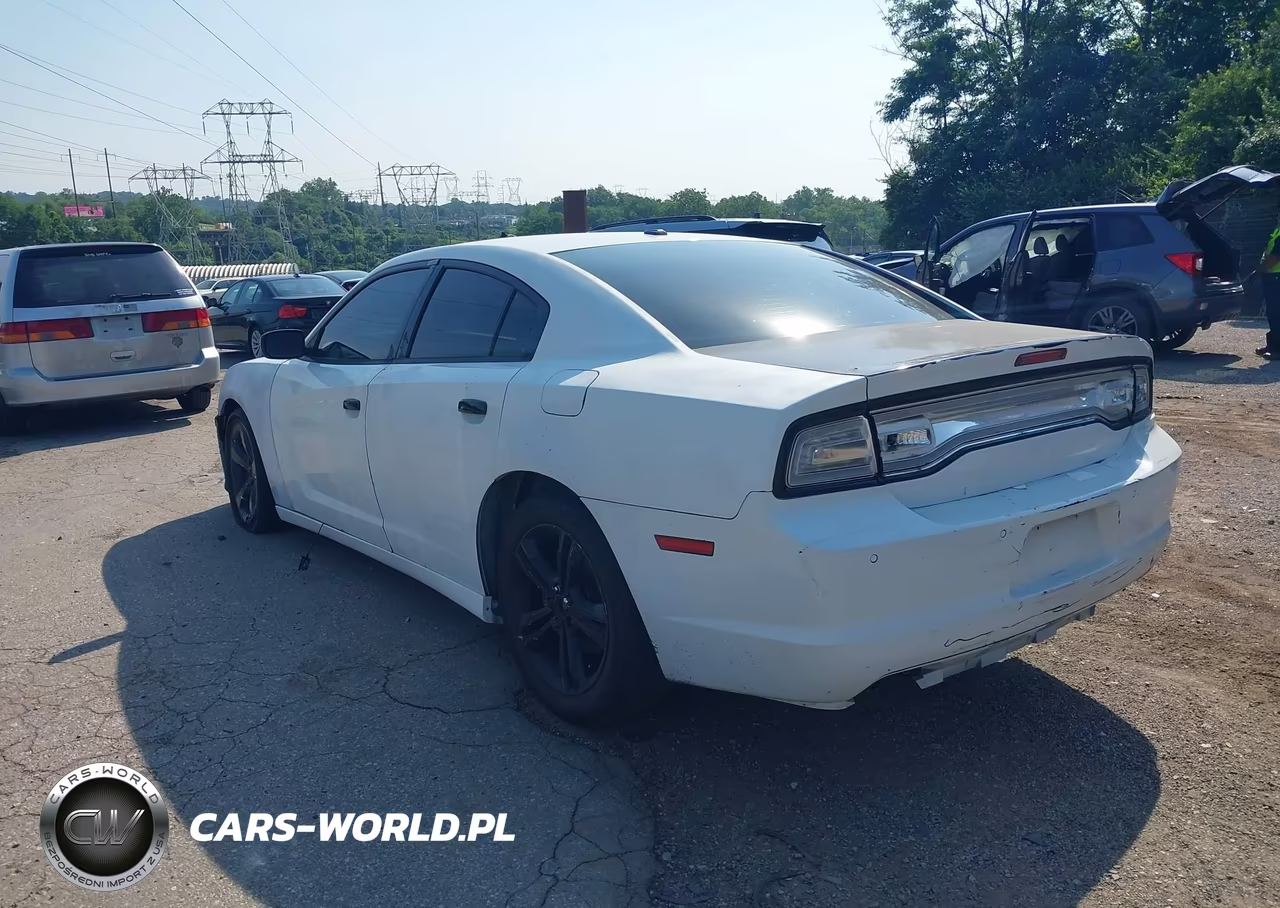 2013 Dodge Charger R-T Max VIN:2C3CDXCT2DH531755 - 3