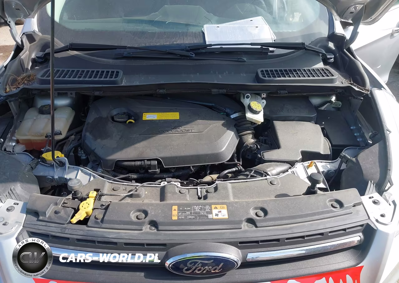 2016 Ford Escape Se VIN:1FMCU0GXXGUA35325 - 10