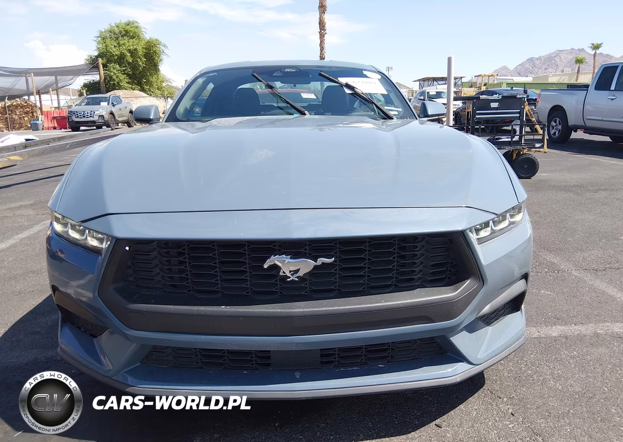 2024 Ford Mustang Ecoboost Fastback VIN:1FA6P8TH9R5106815 - 12