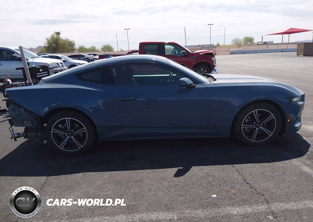 2024 Ford Mustang Ecoboost Fastback VIN:1FA6P8TH9R5106815 - 13