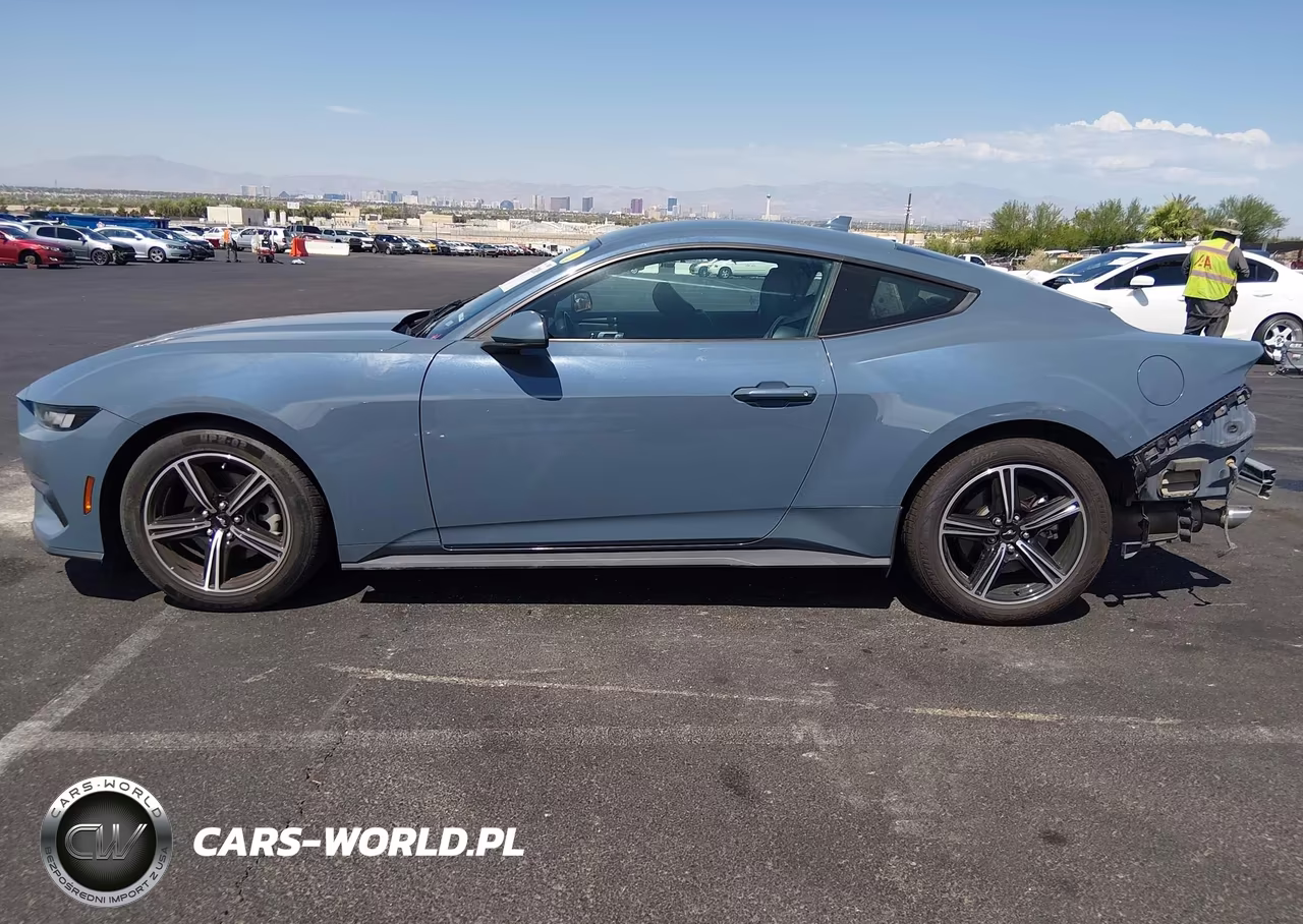 2024 Ford Mustang Ecoboost Fastback VIN:1FA6P8TH9R5106815 - 14