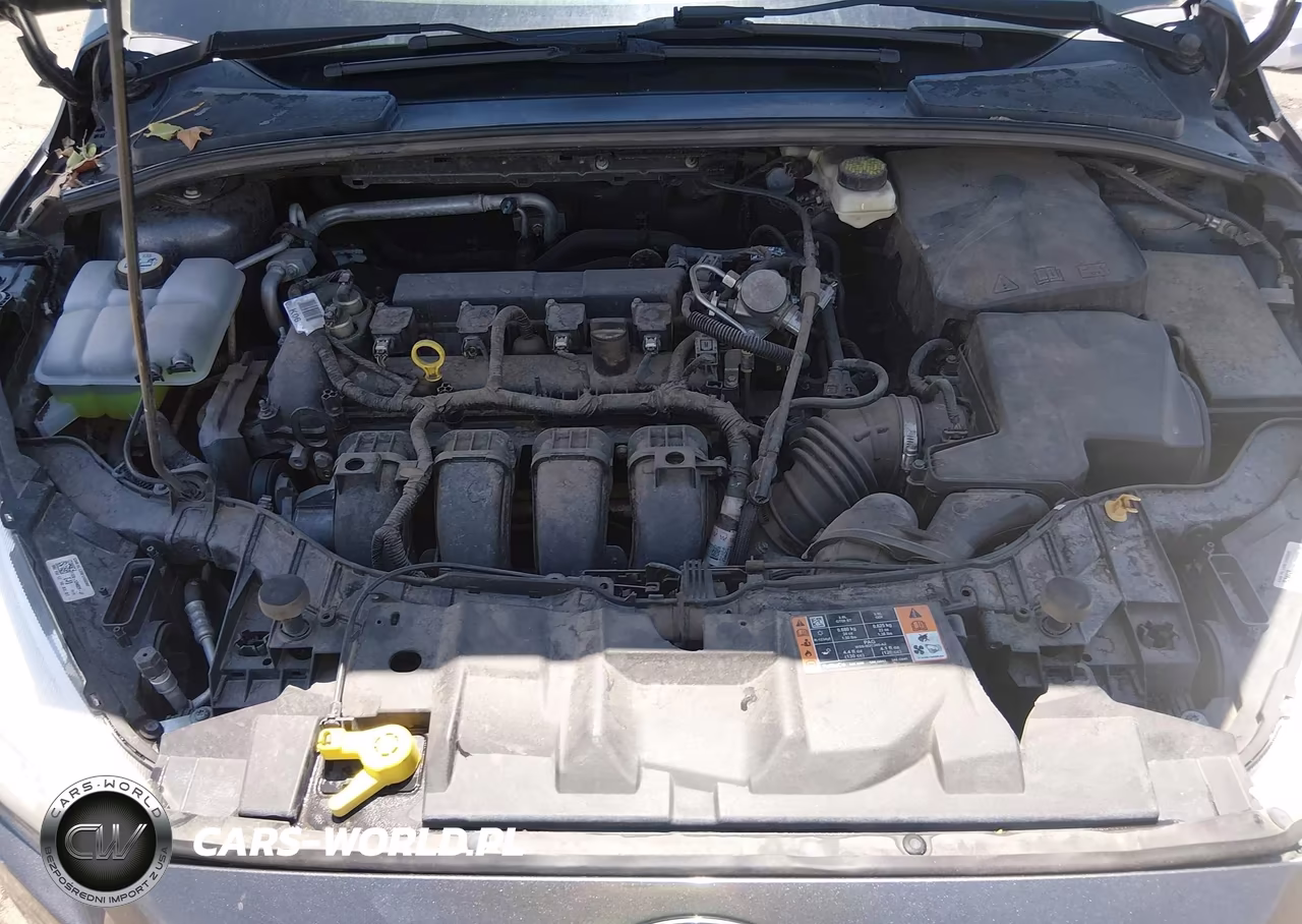 2017 Ford Focus Se VIN:1FADP3F2XHL304654 - 10