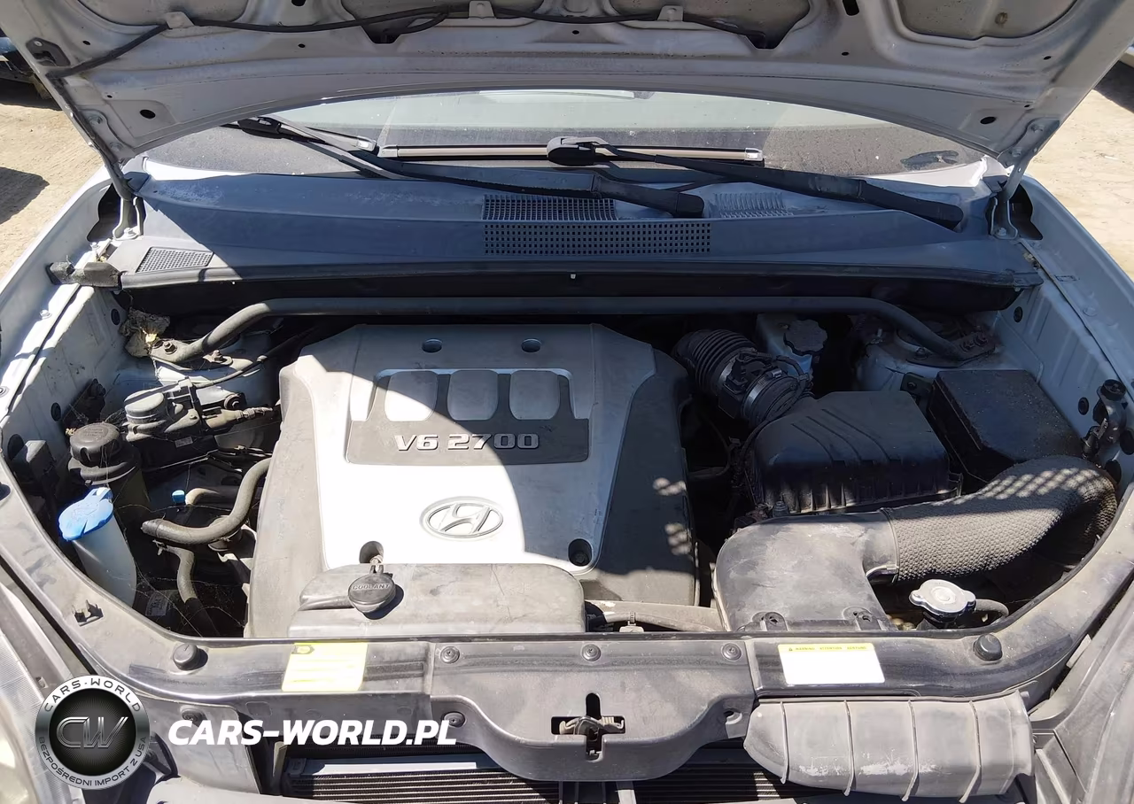 2006 Hyundai Tucson Gls-Limited VIN:KM8JN12D76U383556 - 10