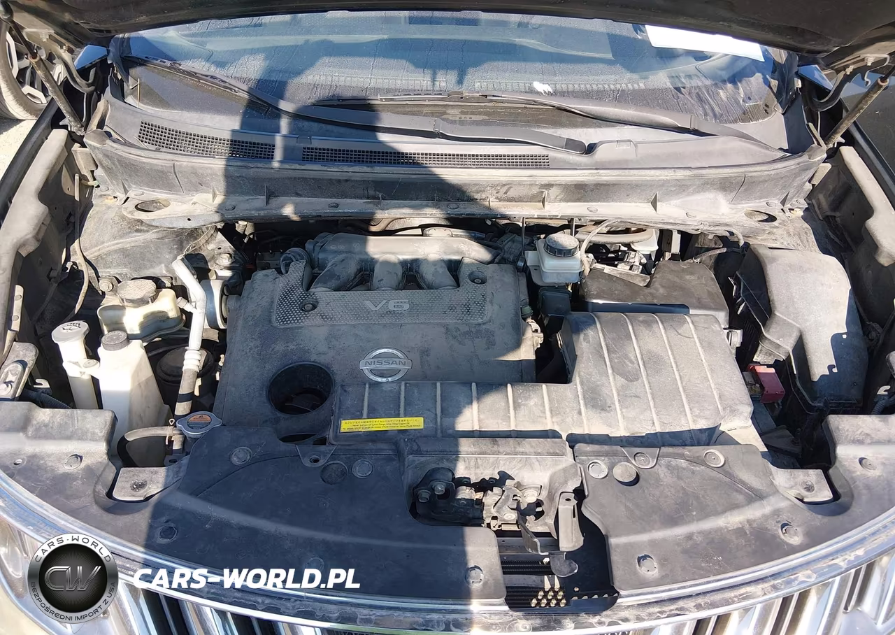 2010 Nissan Murano S VIN:JN8AZ1MW6AW105675 - 10
