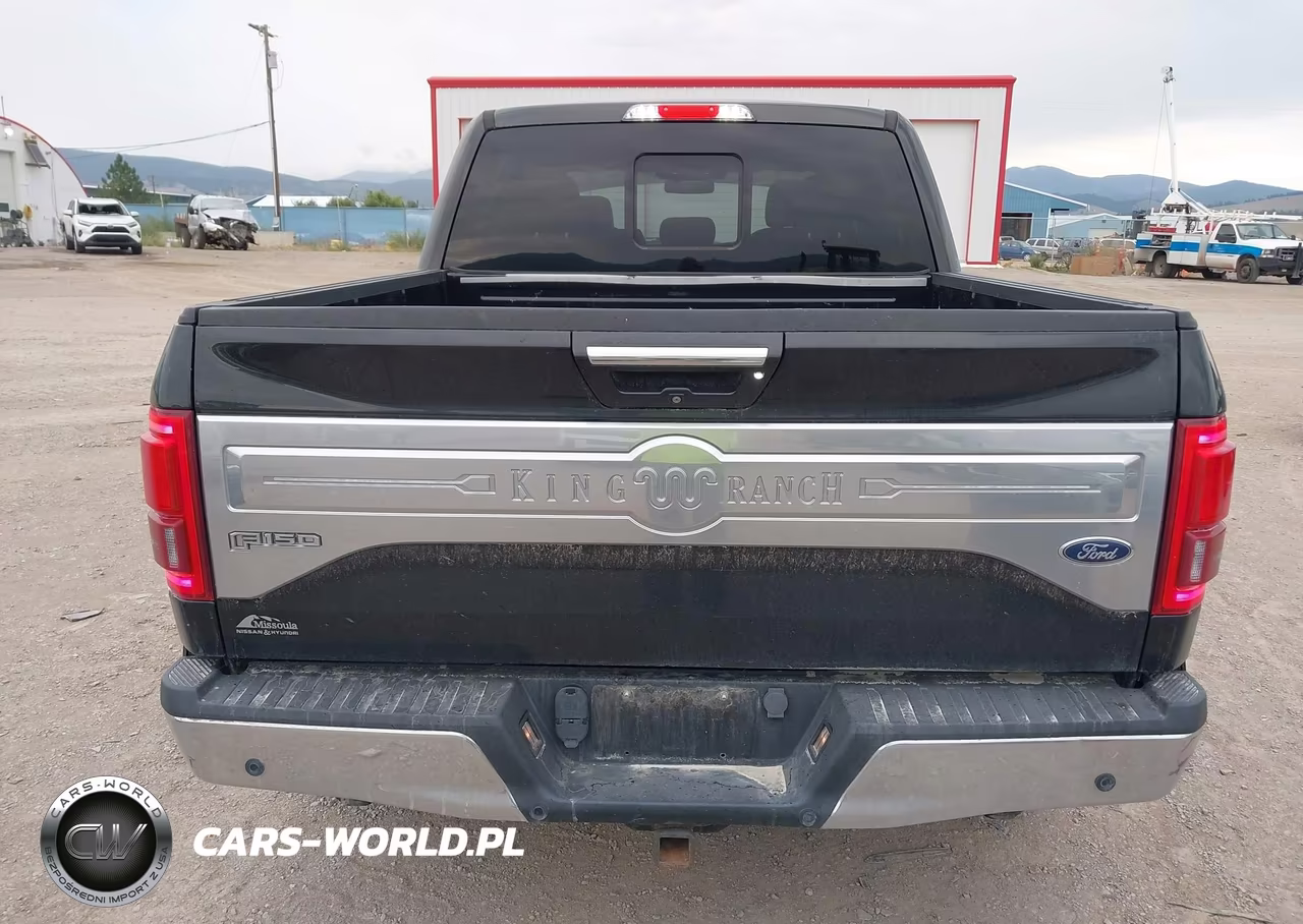 2015 Ford F-150 King Ranch VIN:1FTEW1EG4FFA63818 - 17