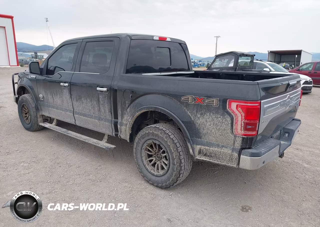 2015 Ford F-150 King Ranch VIN:1FTEW1EG4FFA63818 - 3