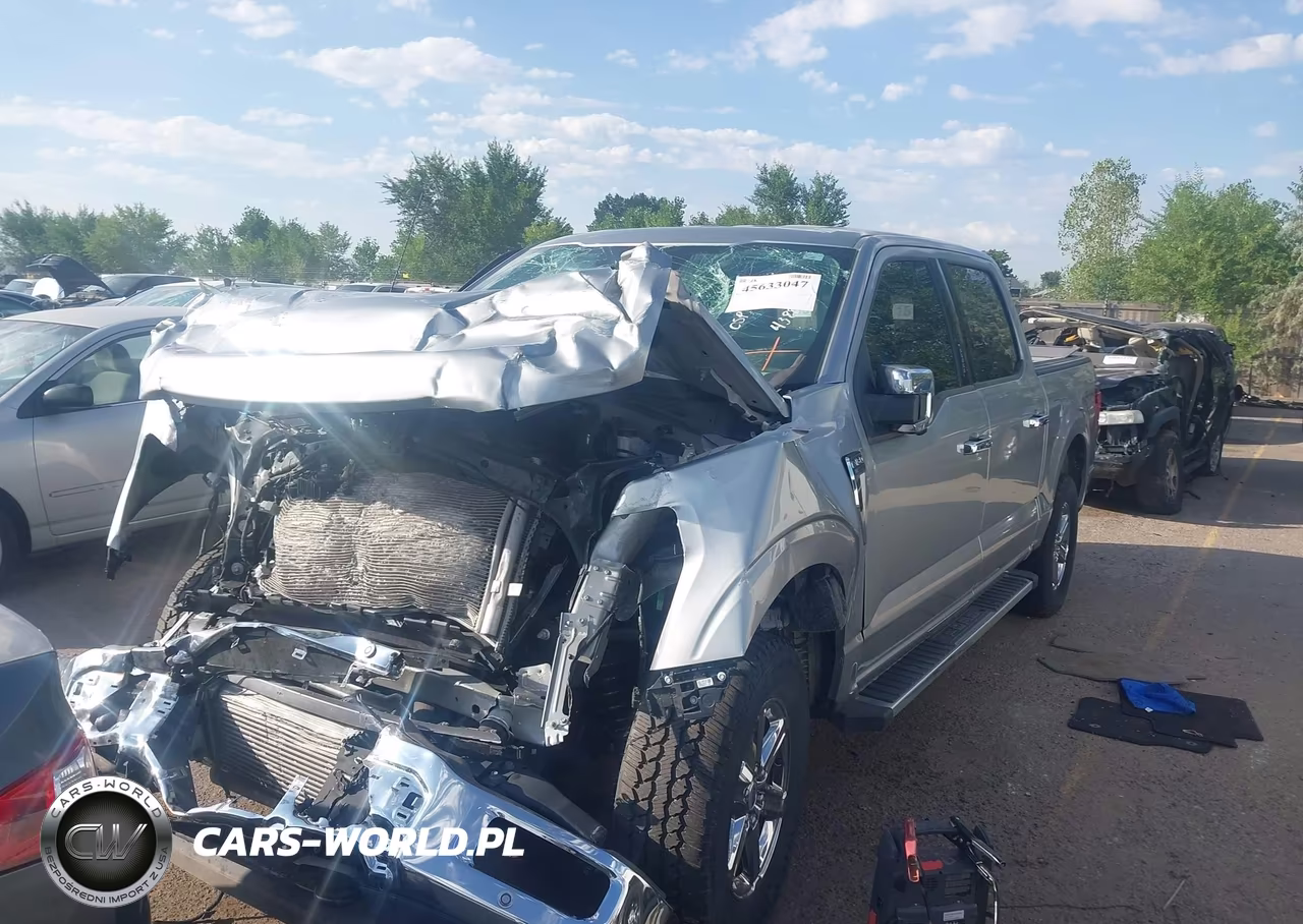 2024 Ford F-150 Xlt VIN:1FTEW3LP1RKD74388 - 2