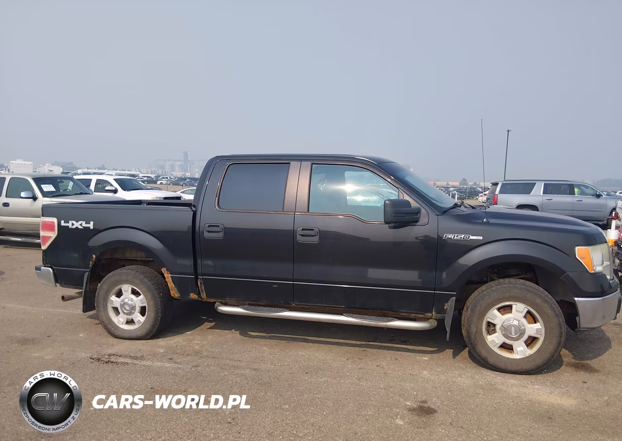2010 Ford F-150 Fx4-Harley-Davidson-King Ranch-Lariat-Platinum-Xl-Xlt VIN:1FTFW1EV5AFC36564 - 13