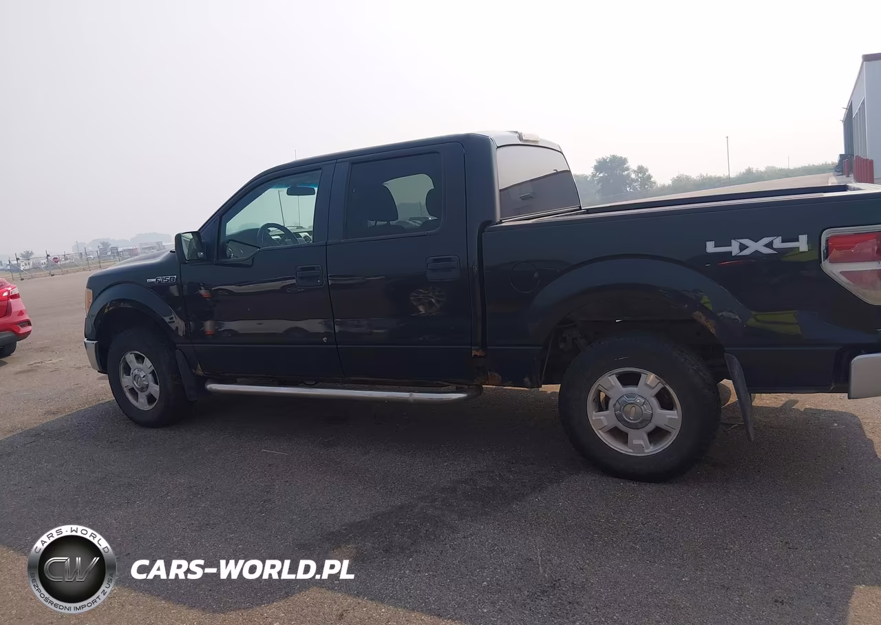 2010 Ford F-150 Fx4-Harley-Davidson-King Ranch-Lariat-Platinum-Xl-Xlt VIN:1FTFW1EV5AFC36564 - 14