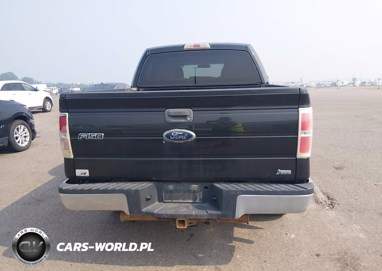 2010 Ford F-150 Fx4-Harley-Davidson-King Ranch-Lariat-Platinum-Xl-Xlt VIN:1FTFW1EV5AFC36564 - 16