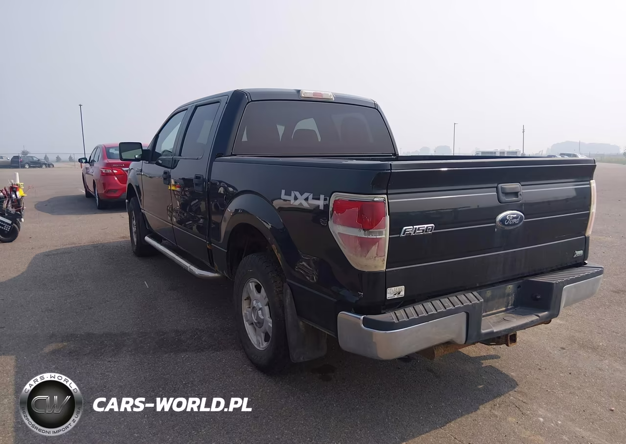 2010 Ford F-150 Fx4-Harley-Davidson-King Ranch-Lariat-Platinum-Xl-Xlt VIN:1FTFW1EV5AFC36564 - 3