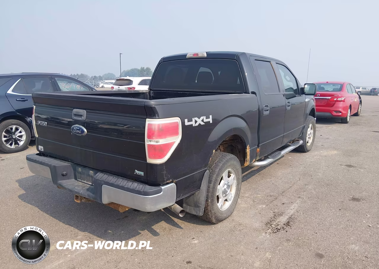 2010 Ford F-150 Fx4-Harley-Davidson-King Ranch-Lariat-Platinum-Xl-Xlt VIN:1FTFW1EV5AFC36564 - 4