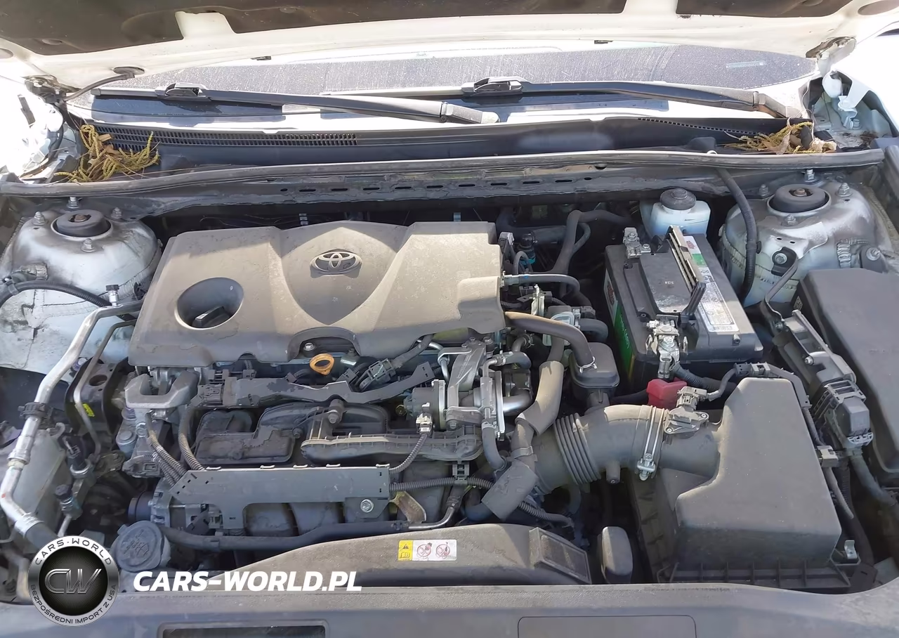 2019 Toyota Camry Xse VIN:4T1B61HK5KU262431 - 10