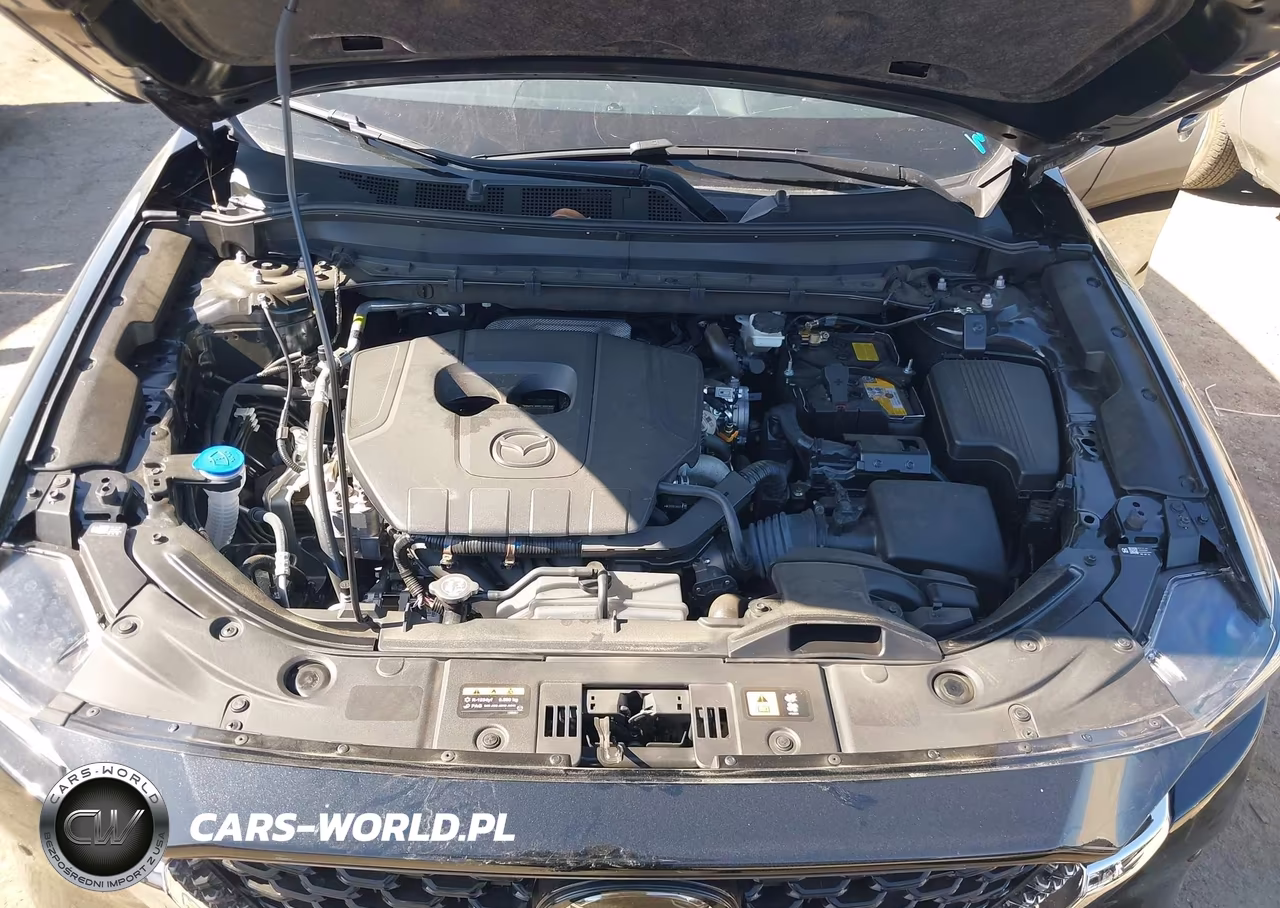 2025 Mazda Cx-5 2.5 S Premium Plus VIN:JM3KFBEM8S0625769 - 10