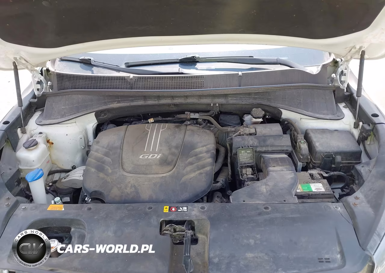 2016 Kia Sorento 3.3L Sx VIN:5XYPKDA59GG095799 - 10