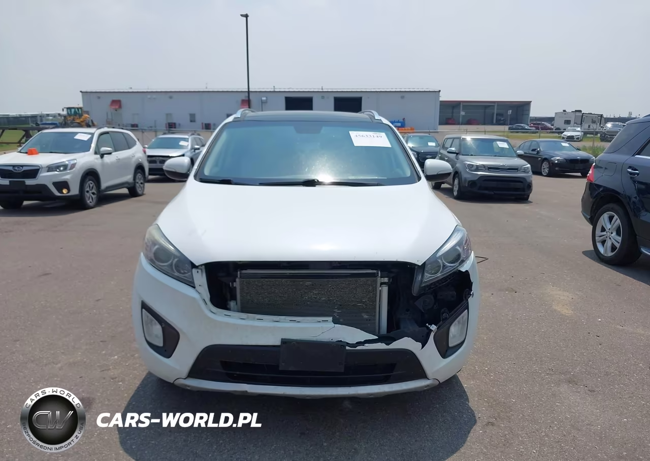 2016 Kia Sorento 3.3L Sx VIN:5XYPKDA59GG095799 - 6