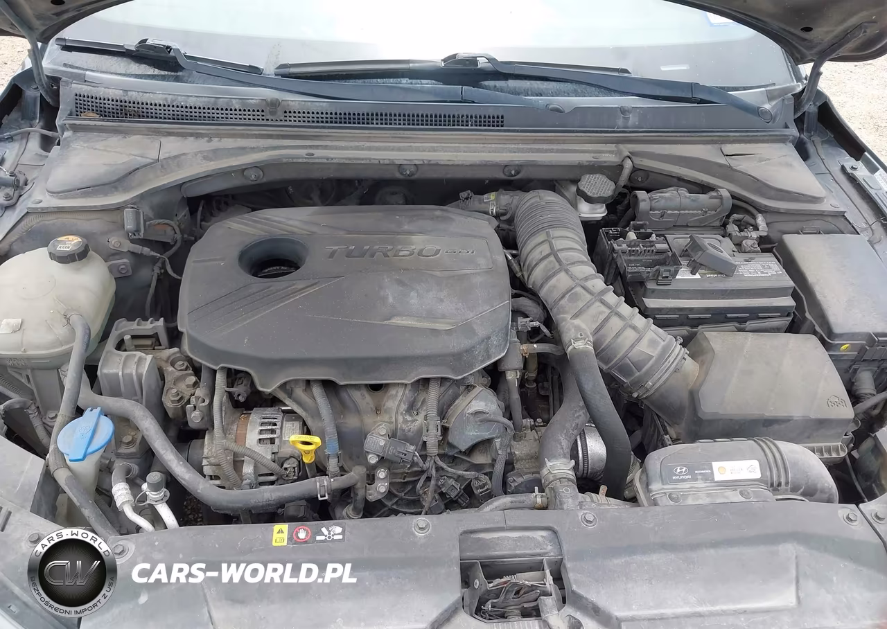 2019 Hyundai Veloster Turbo VIN:KMHTH6ABXKU019400 - 10