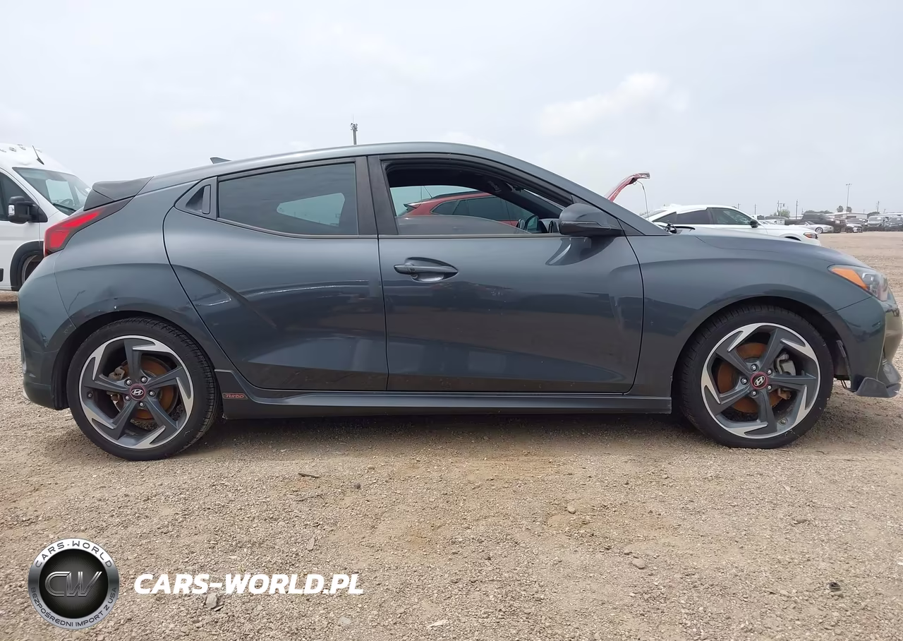 2019 Hyundai Veloster Turbo VIN:KMHTH6ABXKU019400 - 13