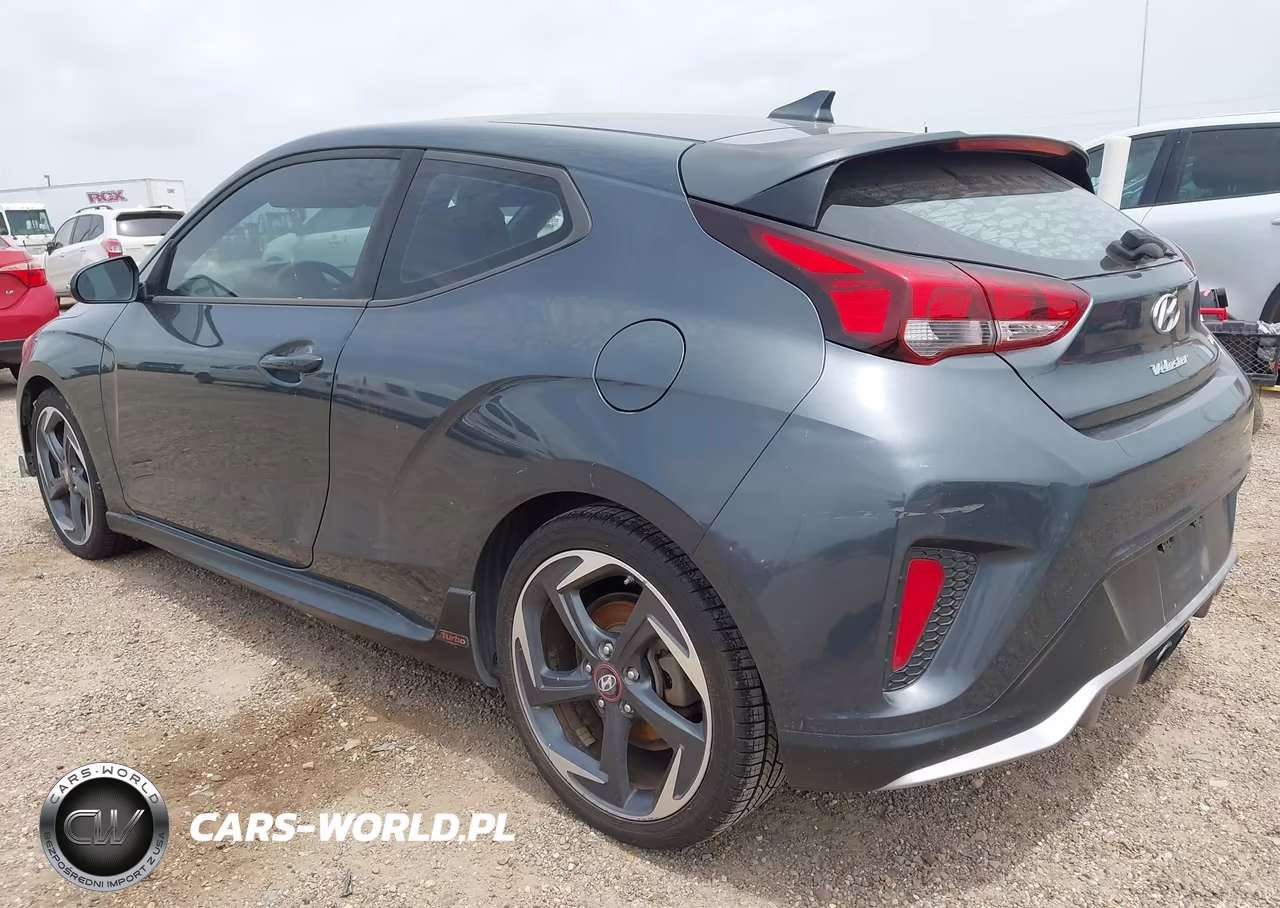 2019 Hyundai Veloster Turbo VIN:KMHTH6ABXKU019400 - 3