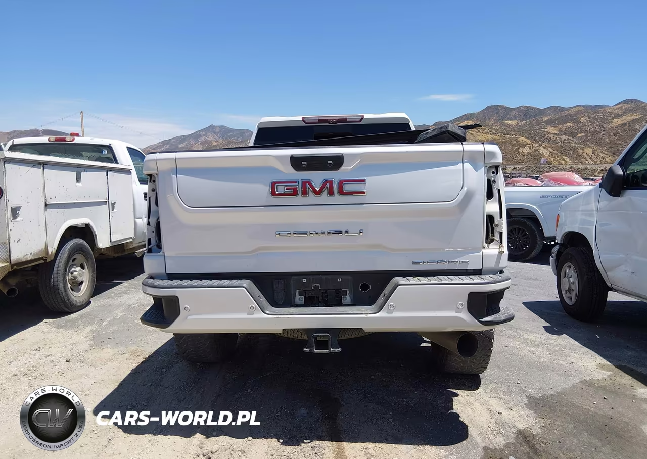 2020 GMC Sierra 2500Hd 4Wd Standard Bed Denali VIN:1GT49REY5LF241726 - 16