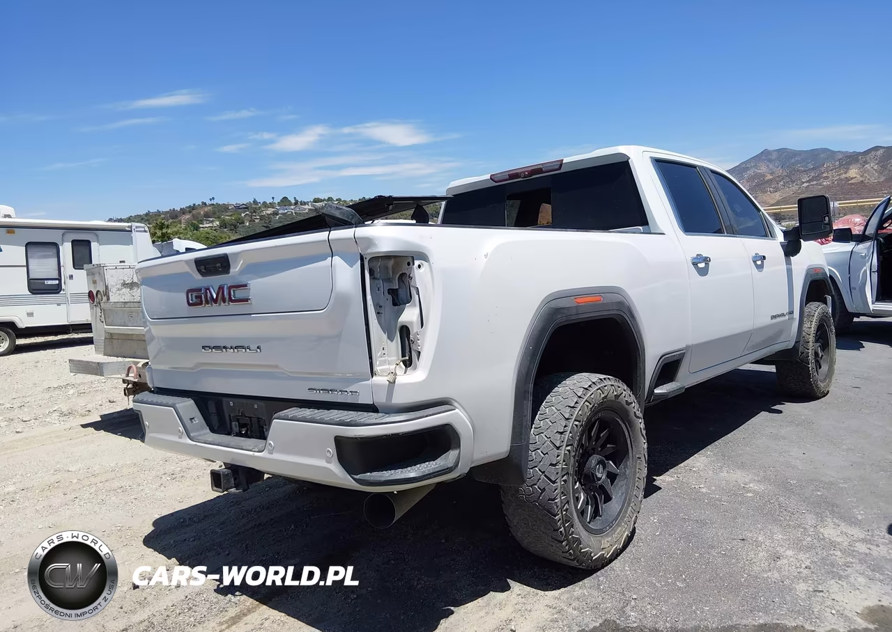 2020 GMC Sierra 2500Hd 4Wd Standard Bed Denali VIN:1GT49REY5LF241726 - 4