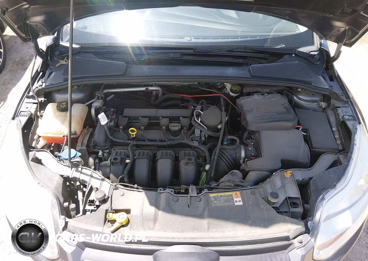 2014 Ford Focus Se VIN:1FADP3F2XEL184284 - 10