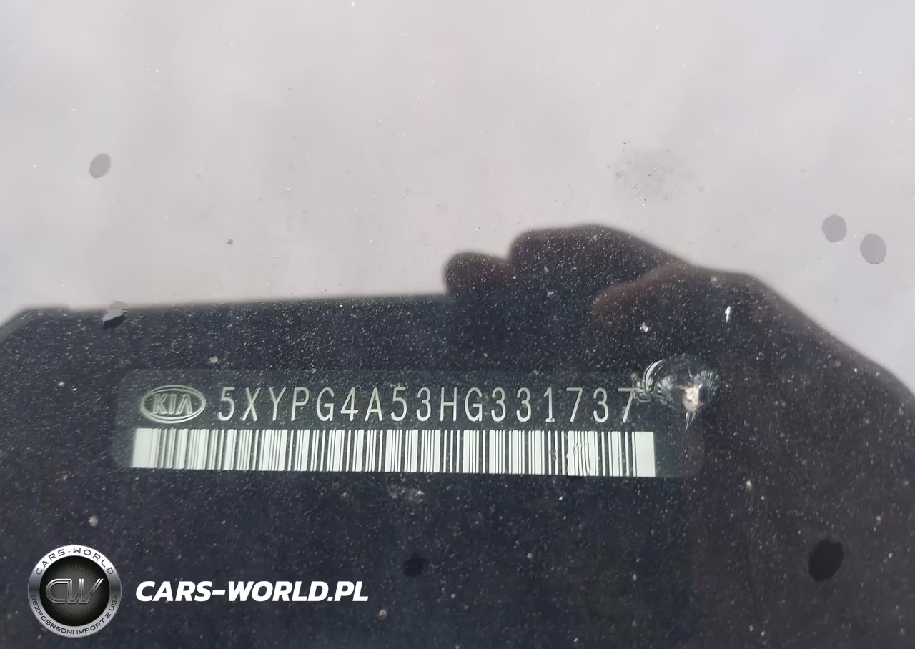 2017 Kia Sorento 3.3L Lx VIN:5XYPG4A53HG331737 - 9