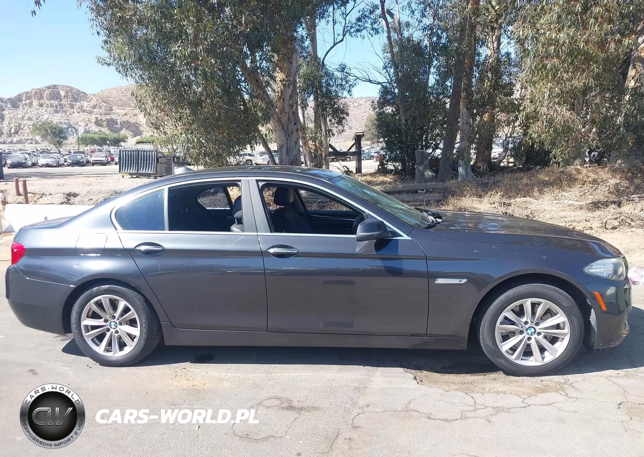 2014 BMW 528I VIN:WBA5A5C59ED510450 - 13