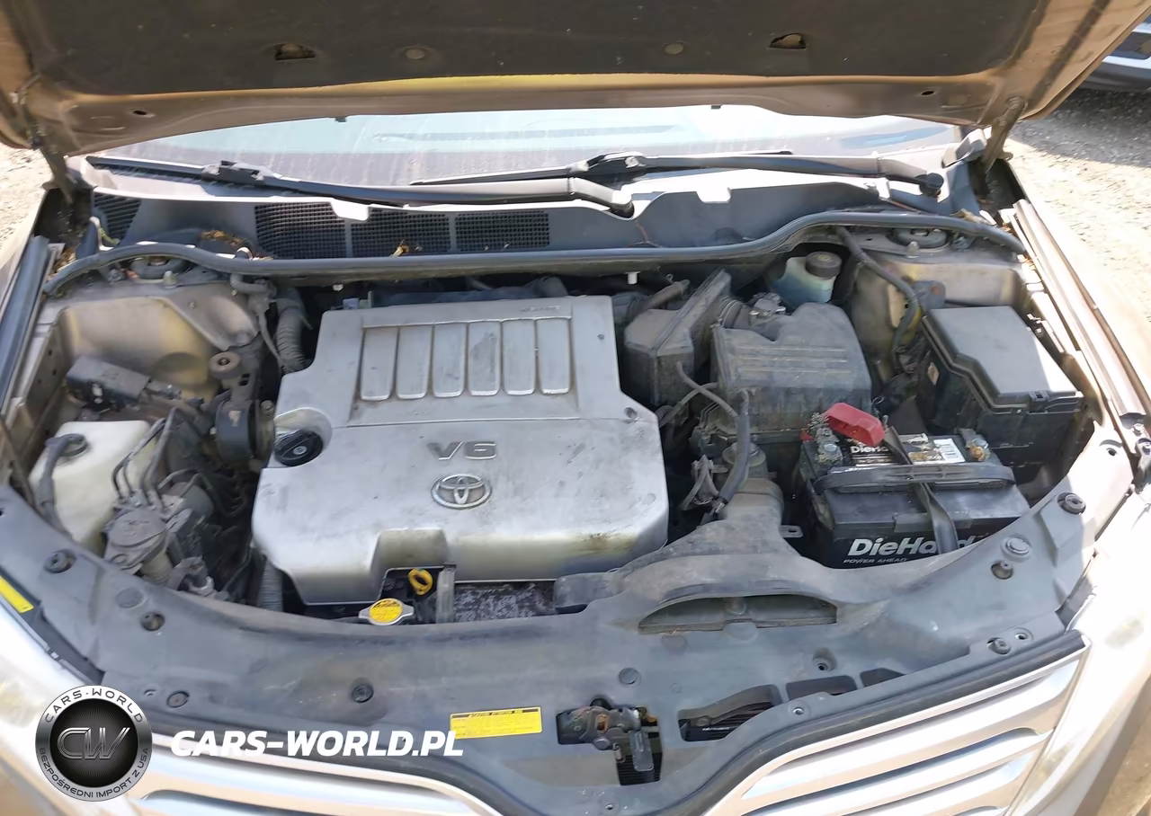2009 Toyota Venza Base V6 VIN:4T3ZK11A99U005267 - 10