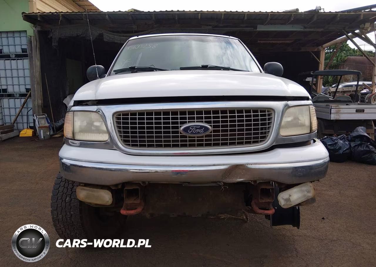 1999 Ford Expedition Eddie Bauer-Xlt VIN:1FMPU18L4XLB06978 - 12