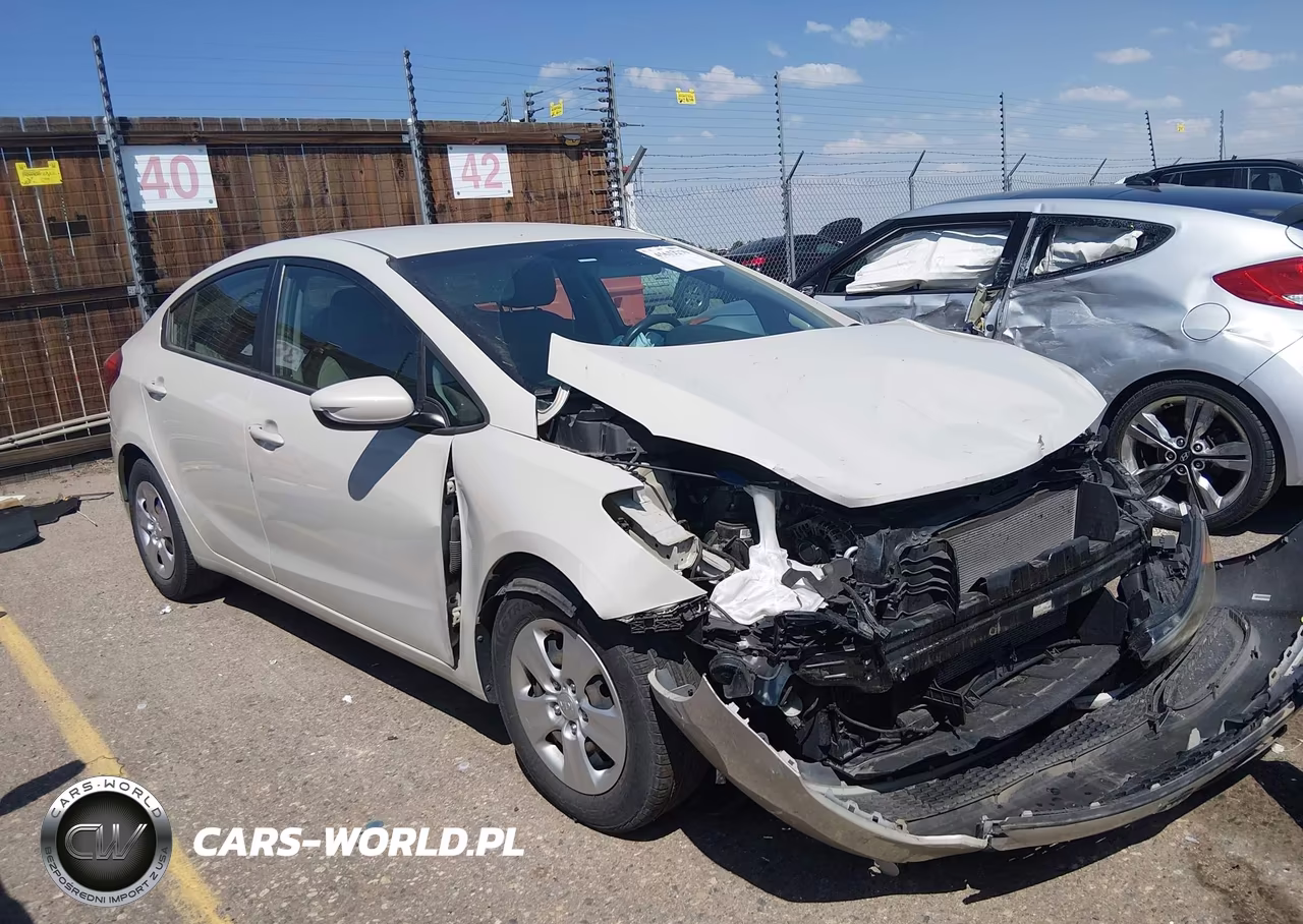 2015 Kia Forte Lx VIN:KNAFK4A63F5298440 - 13
