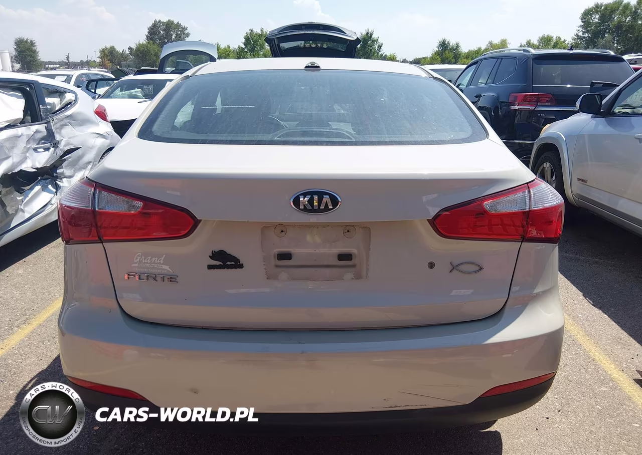 2015 Kia Forte Lx VIN:KNAFK4A63F5298440 - 16