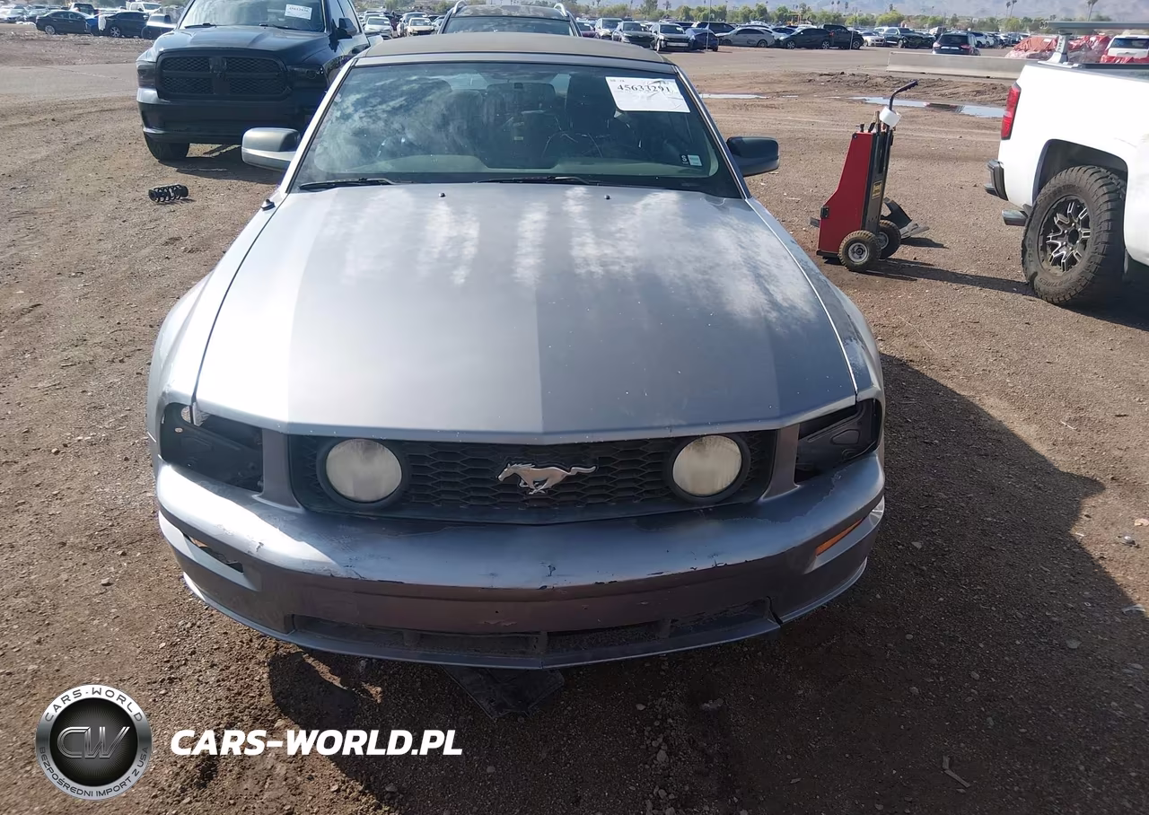 2007 Ford Mustang Gt Deluxe-Gt Premium VIN:1ZVHT85H575207789 - 11