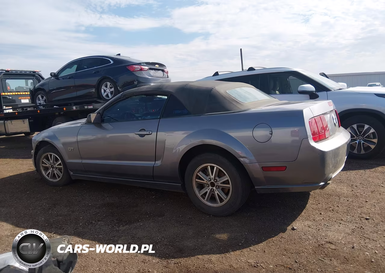 2007 Ford Mustang Gt Deluxe-Gt Premium VIN:1ZVHT85H575207789 - 13