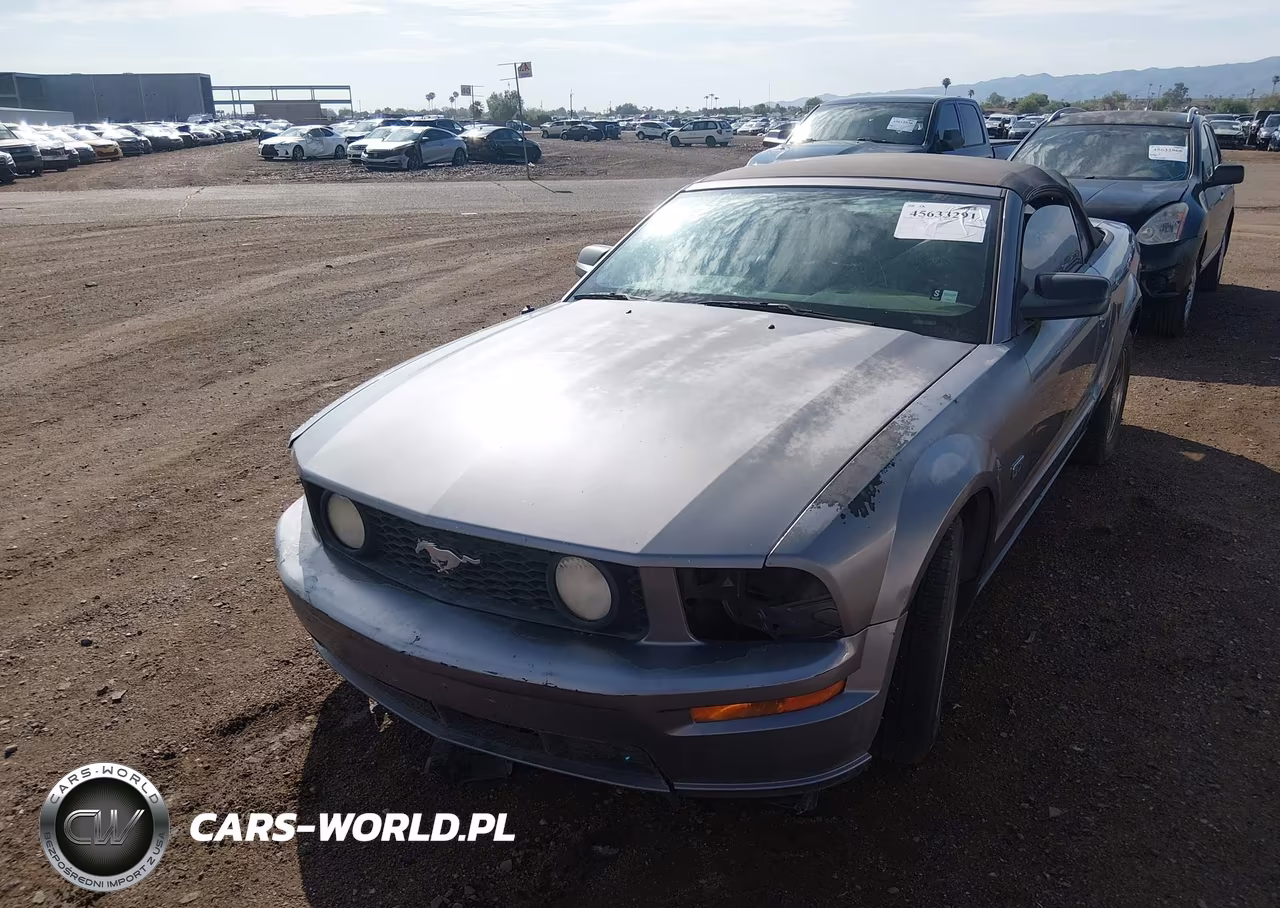 2007 Ford Mustang Gt Deluxe-Gt Premium VIN:1ZVHT85H575207789 - 6